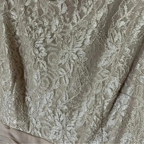 Jessica Howard Evenings Champagne Chiffon and Lace Formal Dress Size 14 - Picture 3 of 11